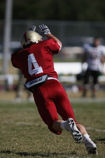 开云体育网址-法甲球队防守战术调整后定位球防守成功率提升分析，法国防守